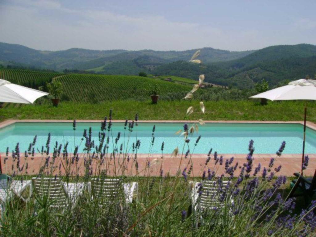 Agriturismo Il Santo Greve in Chianti Exterior photo