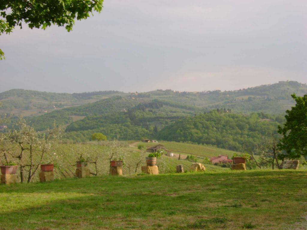 Agriturismo Il Santo Greve in Chianti Exterior photo